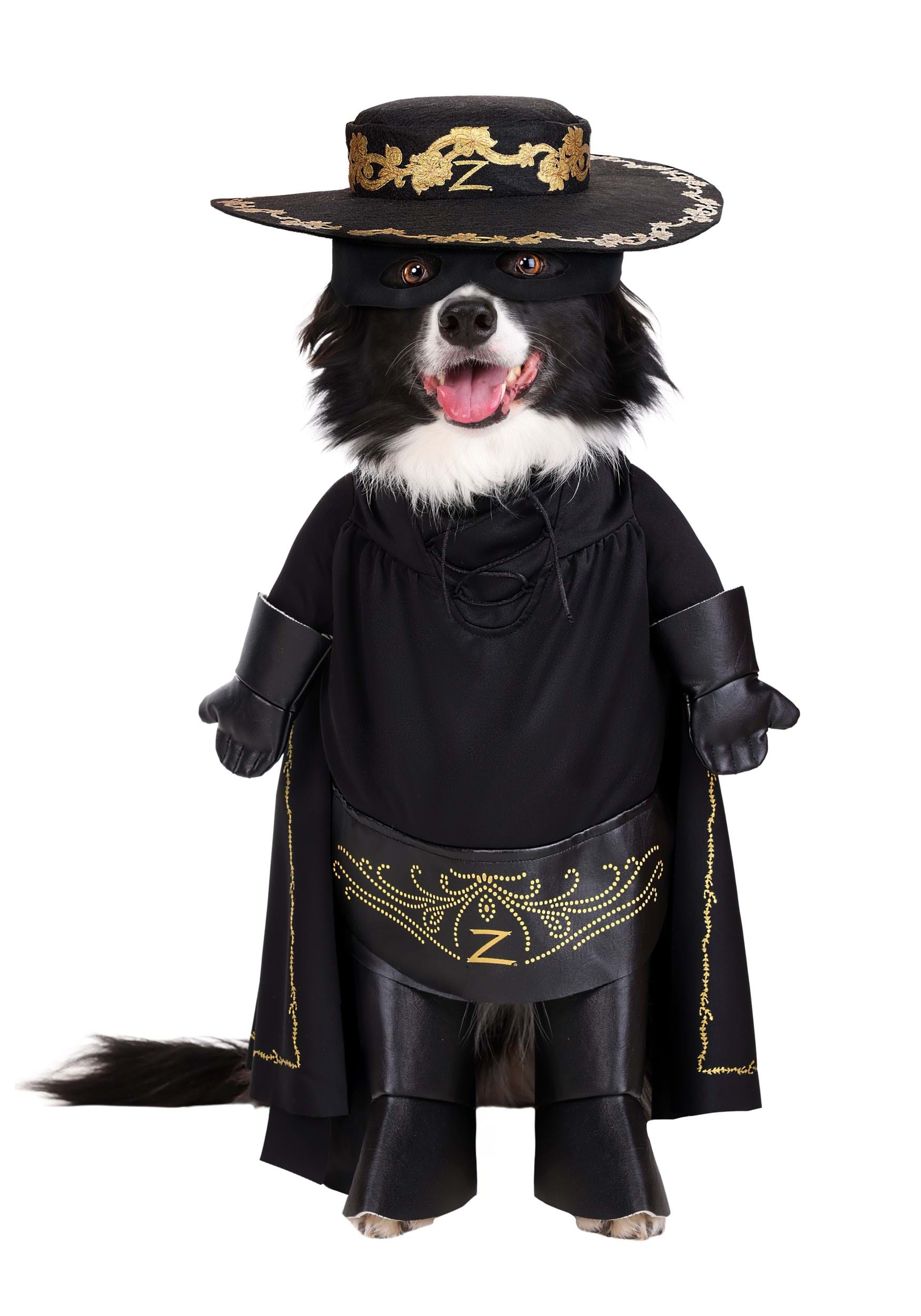 Zorro Pet Costume