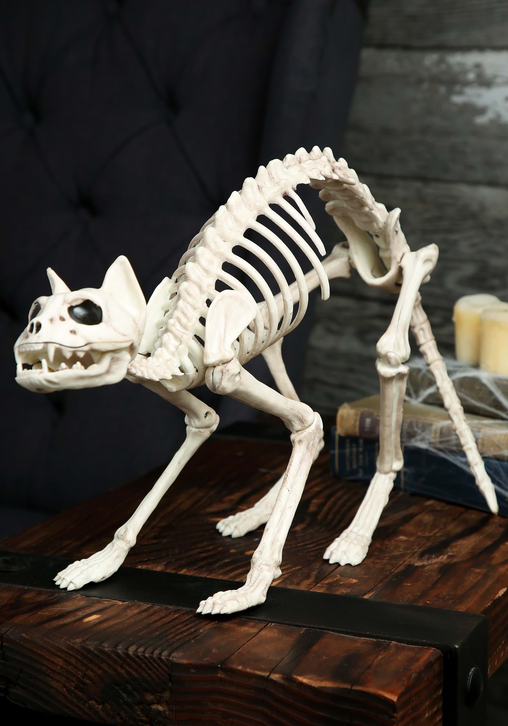 10.5-Inch Skeleton Cat Bones Decoration