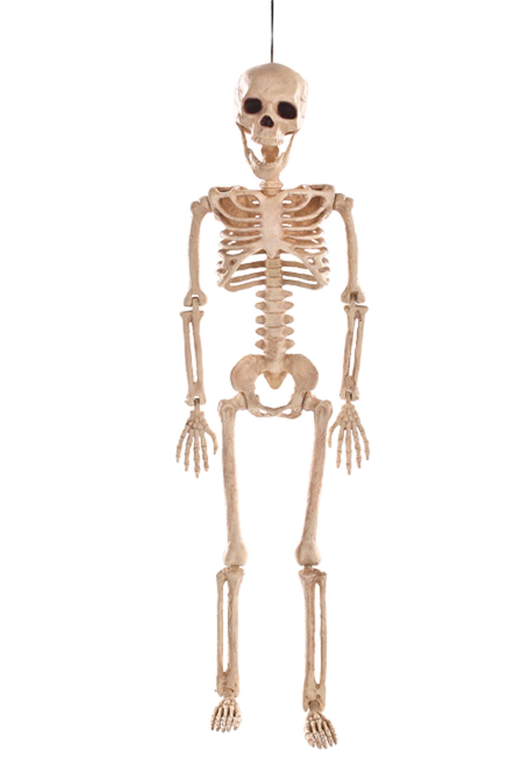 24-Inch Poseable Skeleton Decoration