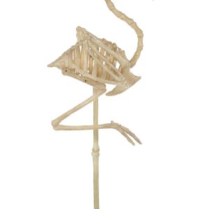 34-Inch Flamingo Skeleton Prop Decoration