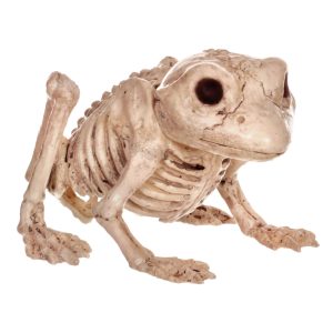 5-Inch Skeleton Frog Decoration