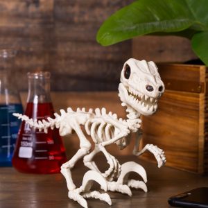 5.5-Inch Raptor Crazy Bonez Prop