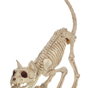 7.5-Inch Lil' Kitty Skeleton Decoration