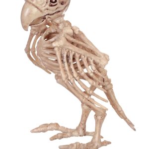 7.5-Inch Skeleton Parrot Decoration