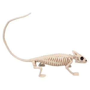 8-Inch Lizard Skeleton Prop