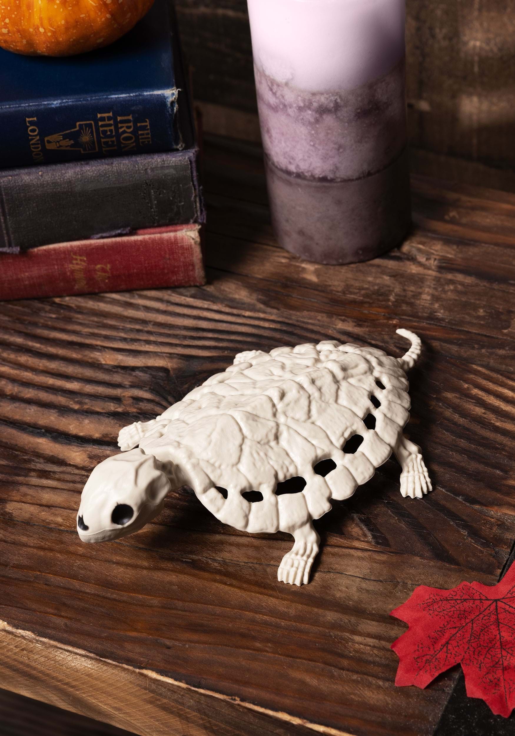8-Inch Skeleton Turtle Decoration