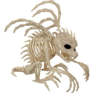 9 Gargoyle Skeleton