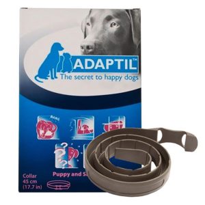 Adaptil Collar Pup/Small Dog 37.5 Cms 1 Pack