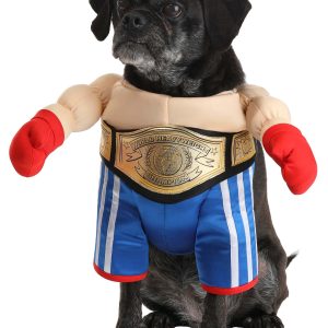 Champion Boxer Pet Costume