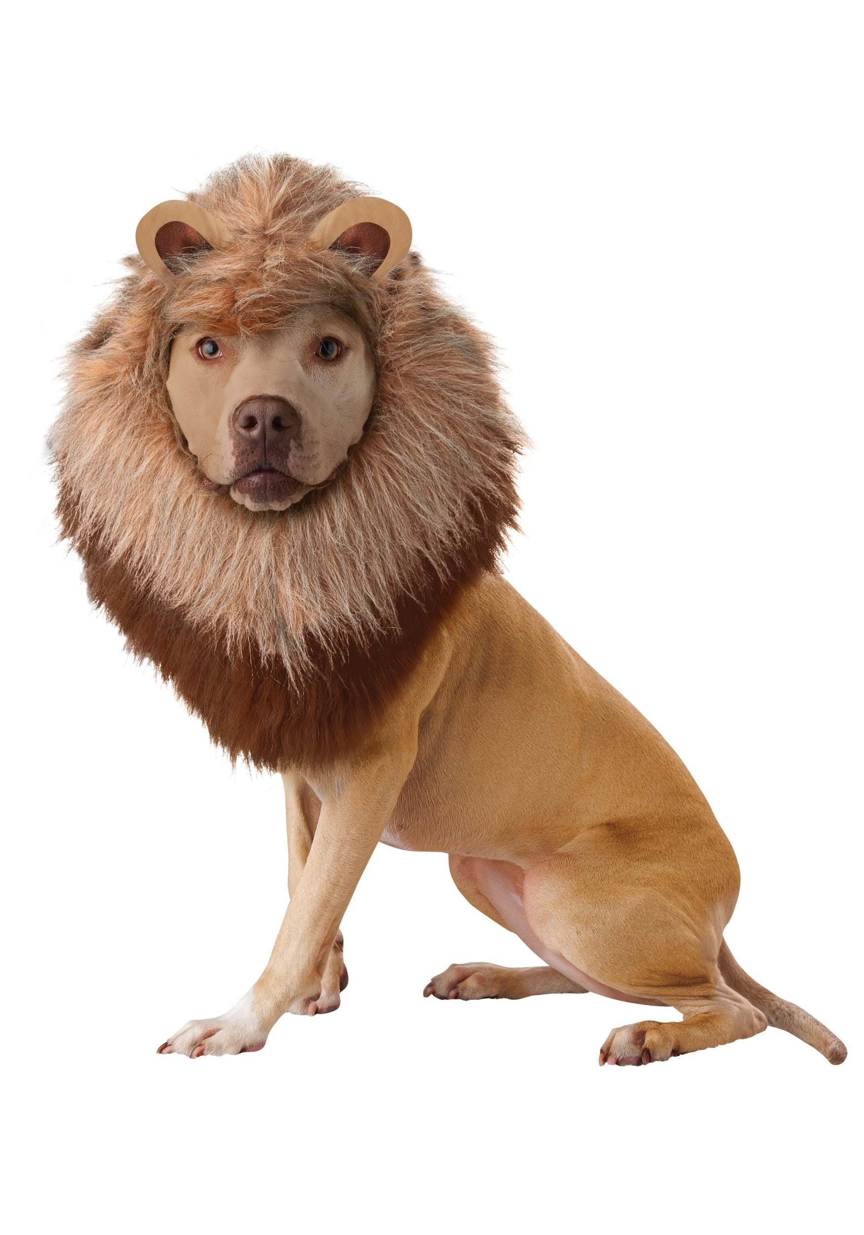 Classic Lion Costume for Pets